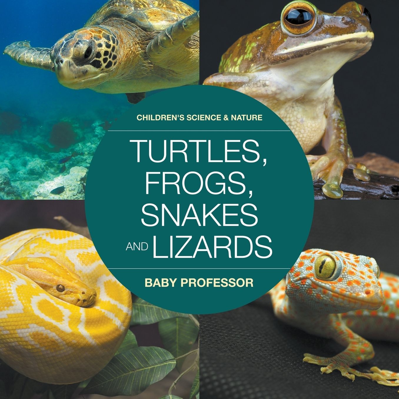 Turtles, Frogs, Snakes and Lizards Children's Science & Nature