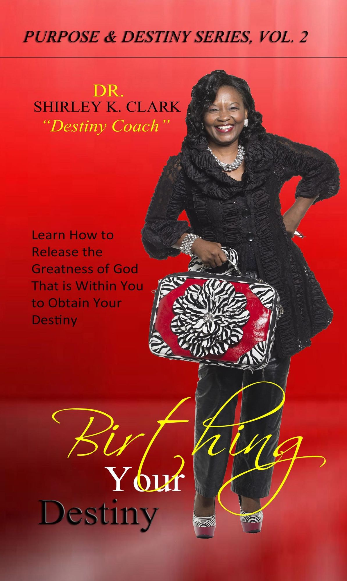 Birthing Your Destiny: Learn How to release the greatness of God within you to obtain your destiny
