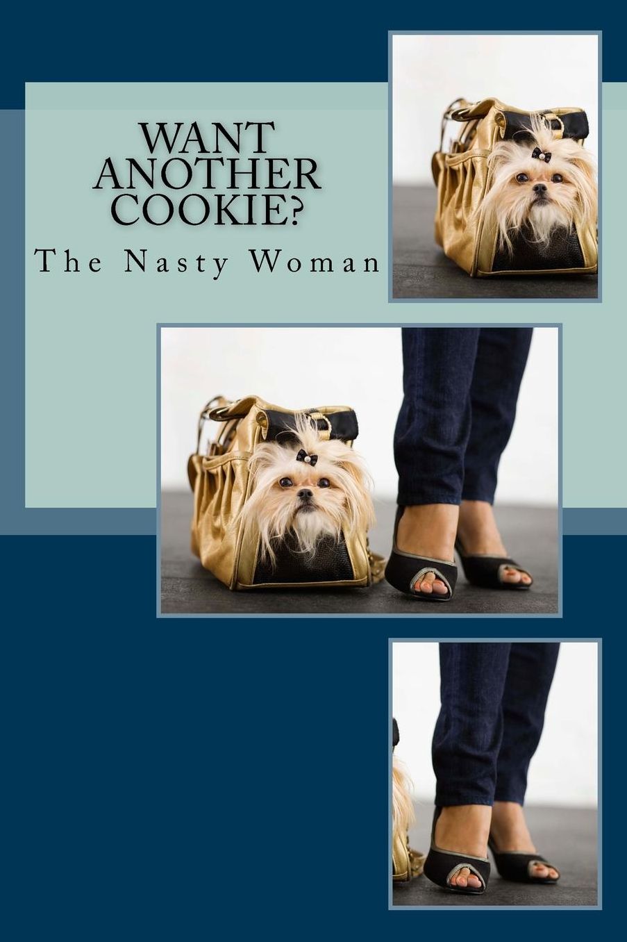 Want Another Cookie?: The Nasty Woman