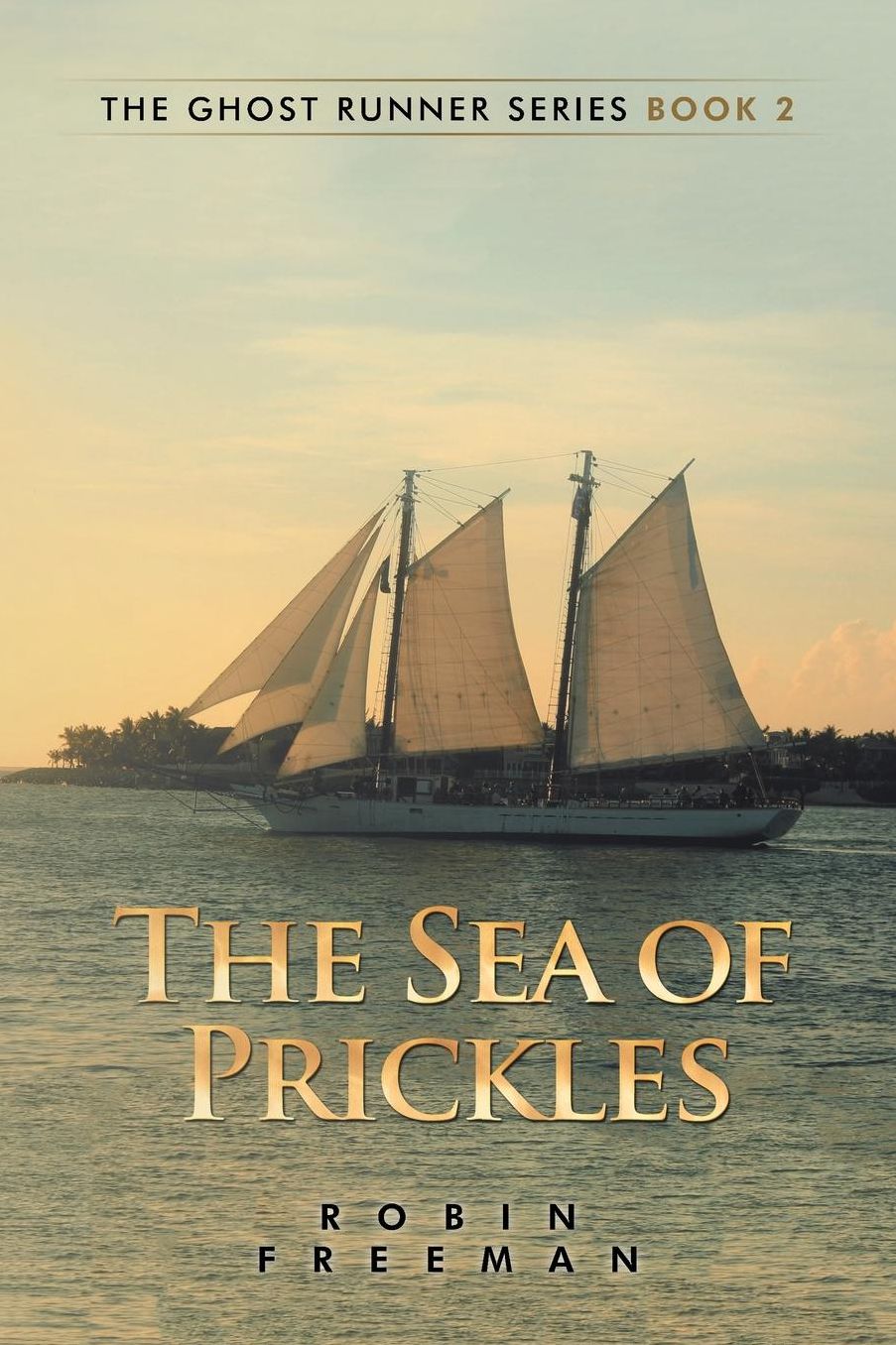 The Sea of Prickles: The Ghost Runner Series Book 2
