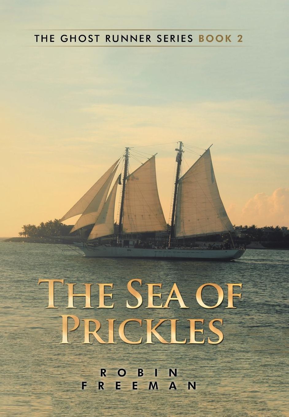 The Sea of Prickles: The Ghost Runner Series Book 2