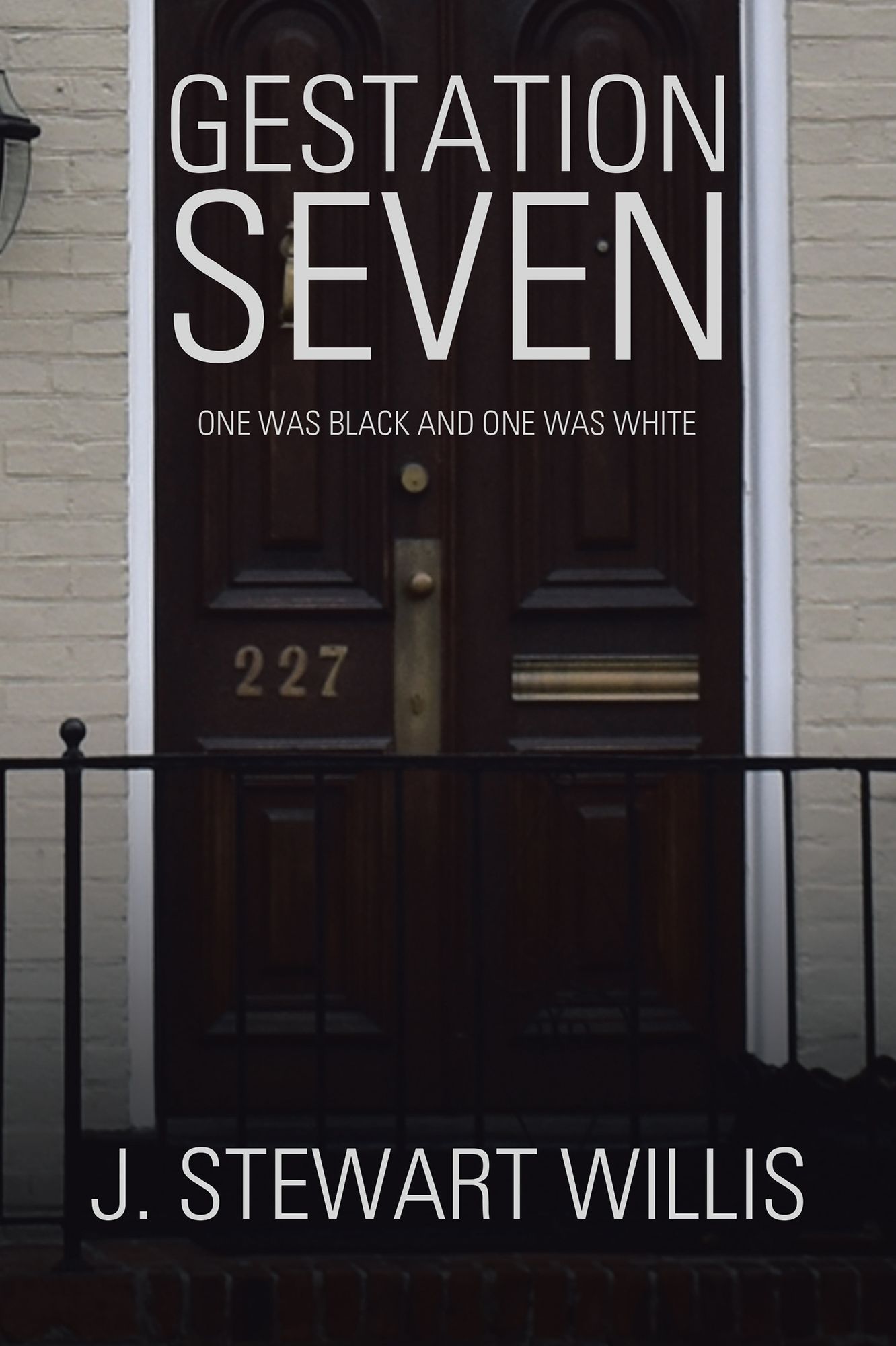 Gestation Seven: One Was Black and One Was White