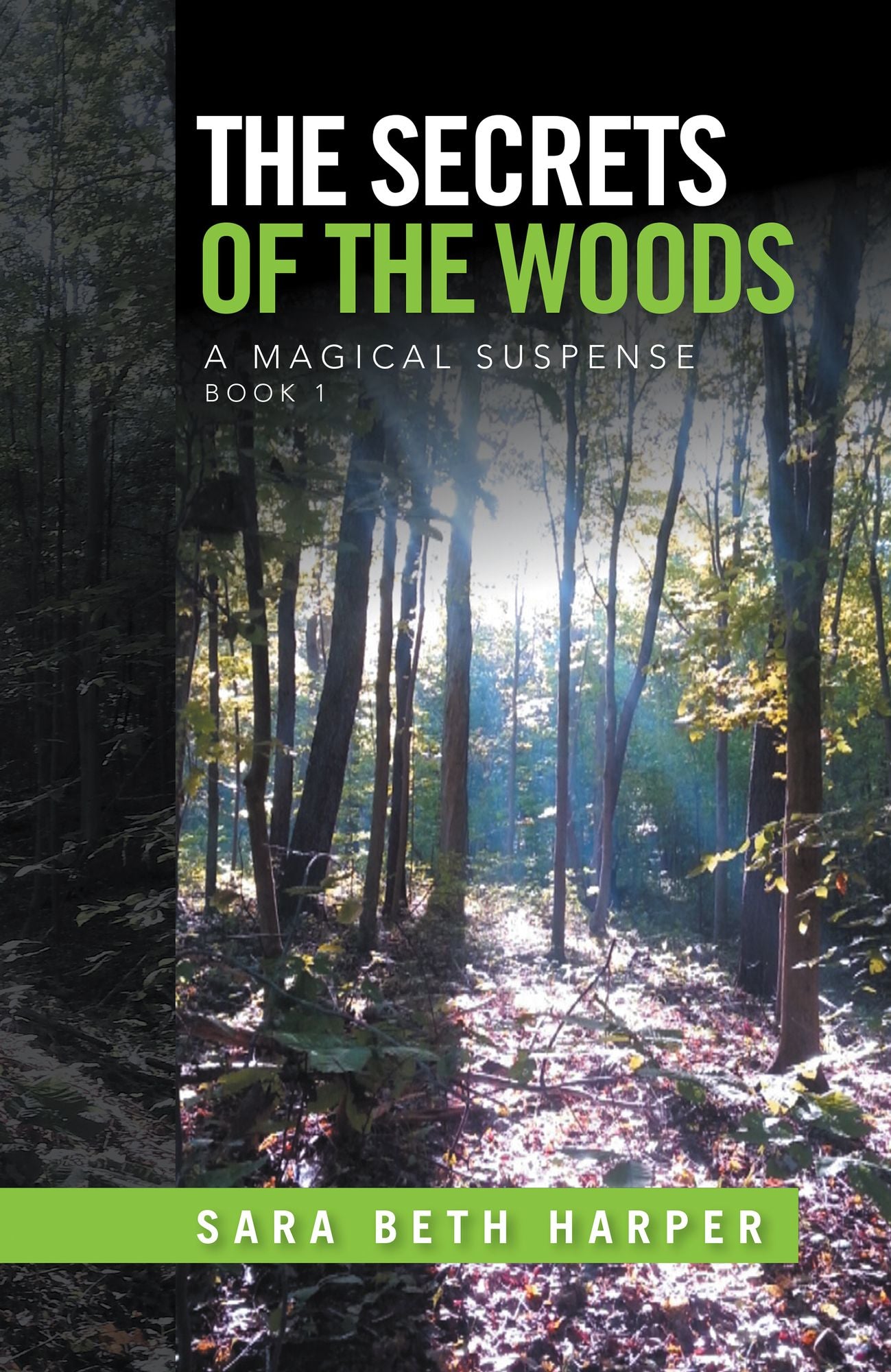 The Secrets of the Woods: Book 1