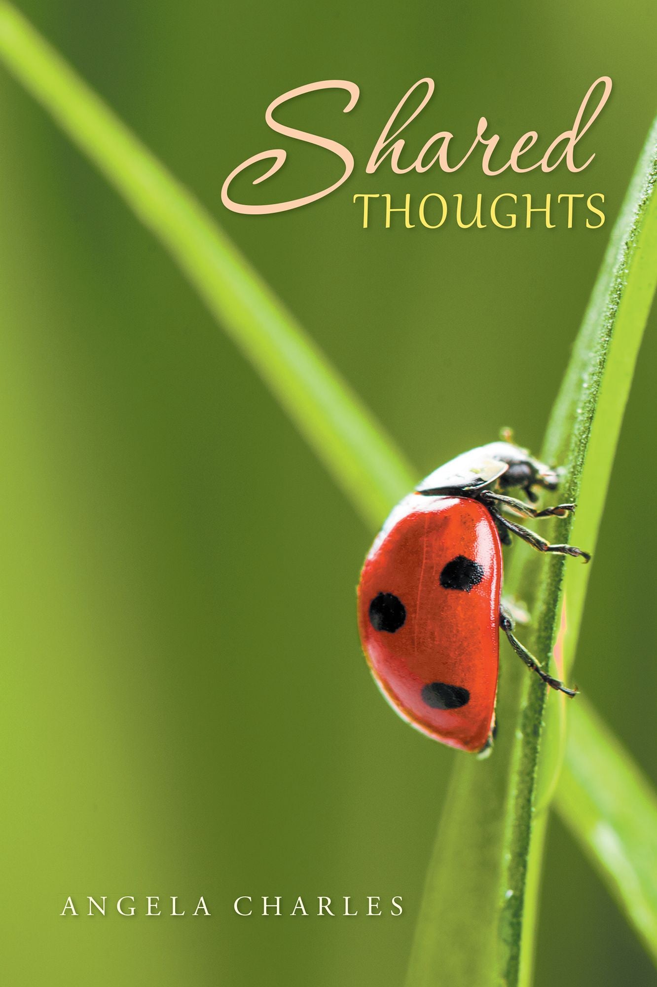 Shared Thoughts: Engaging in Life