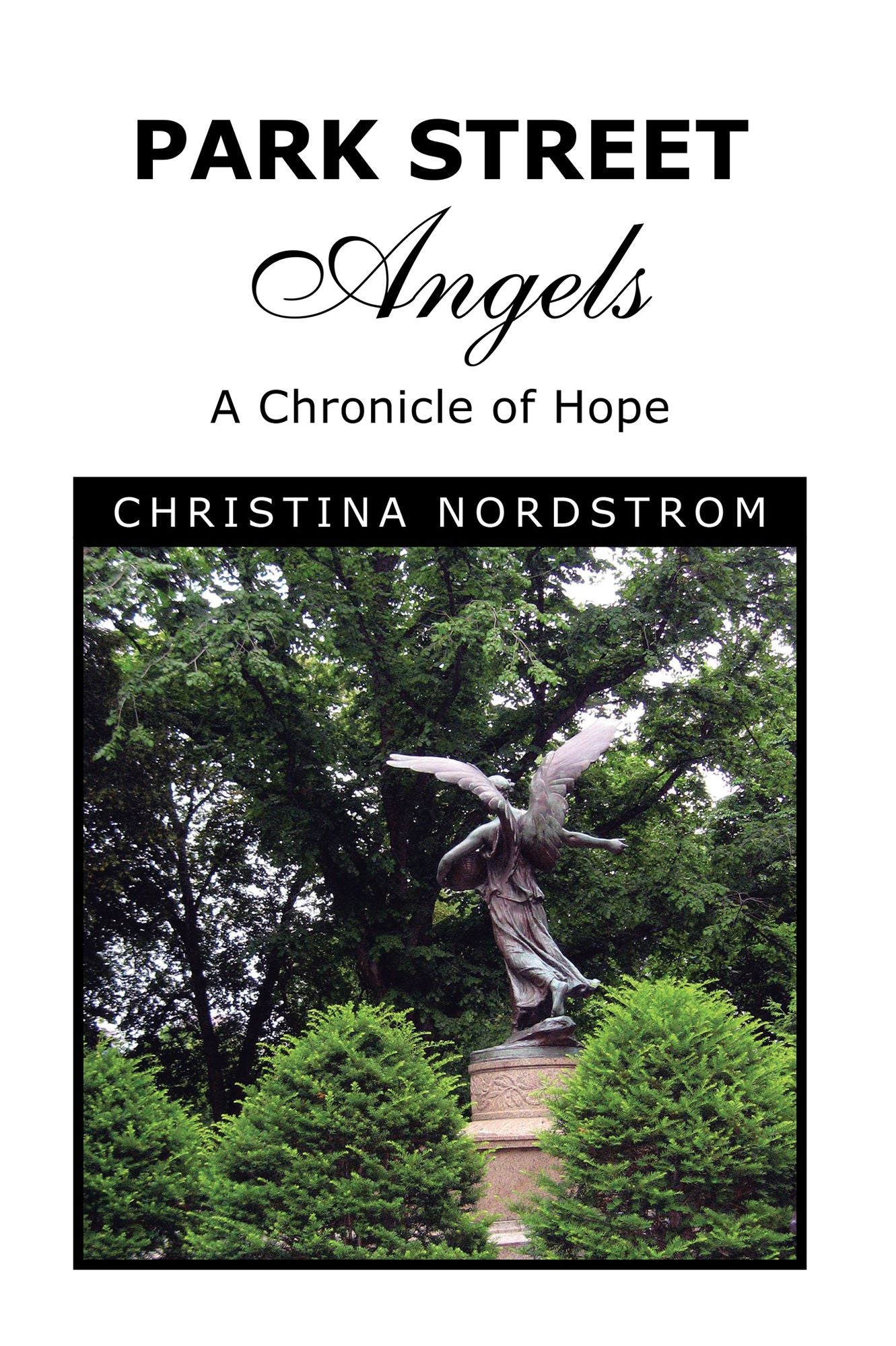 Park Street Angels: A Chronicle of Hope