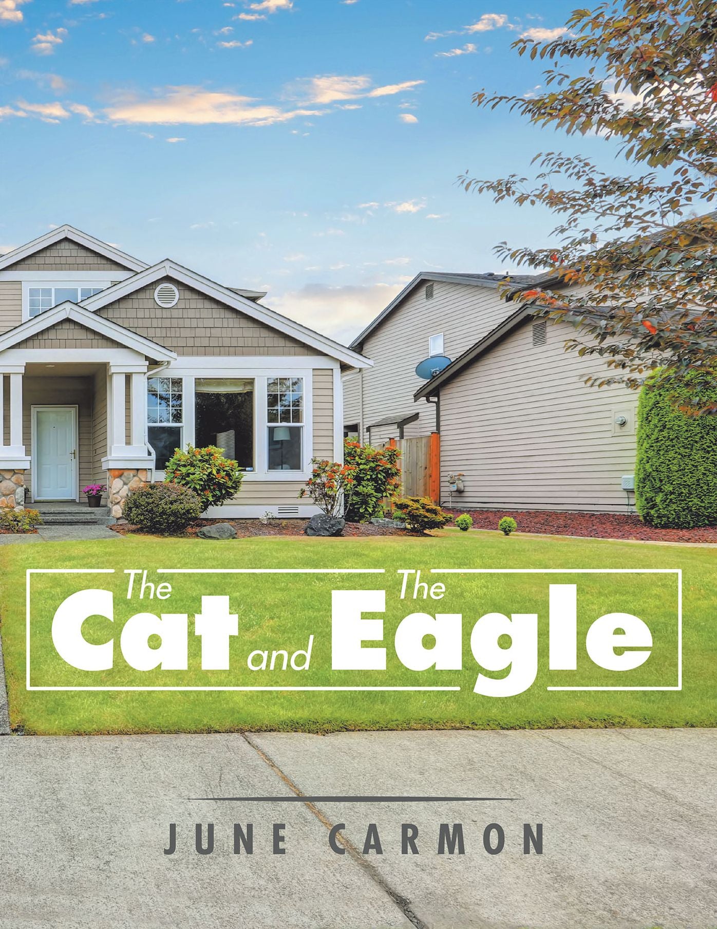 The Cat and the Eagle