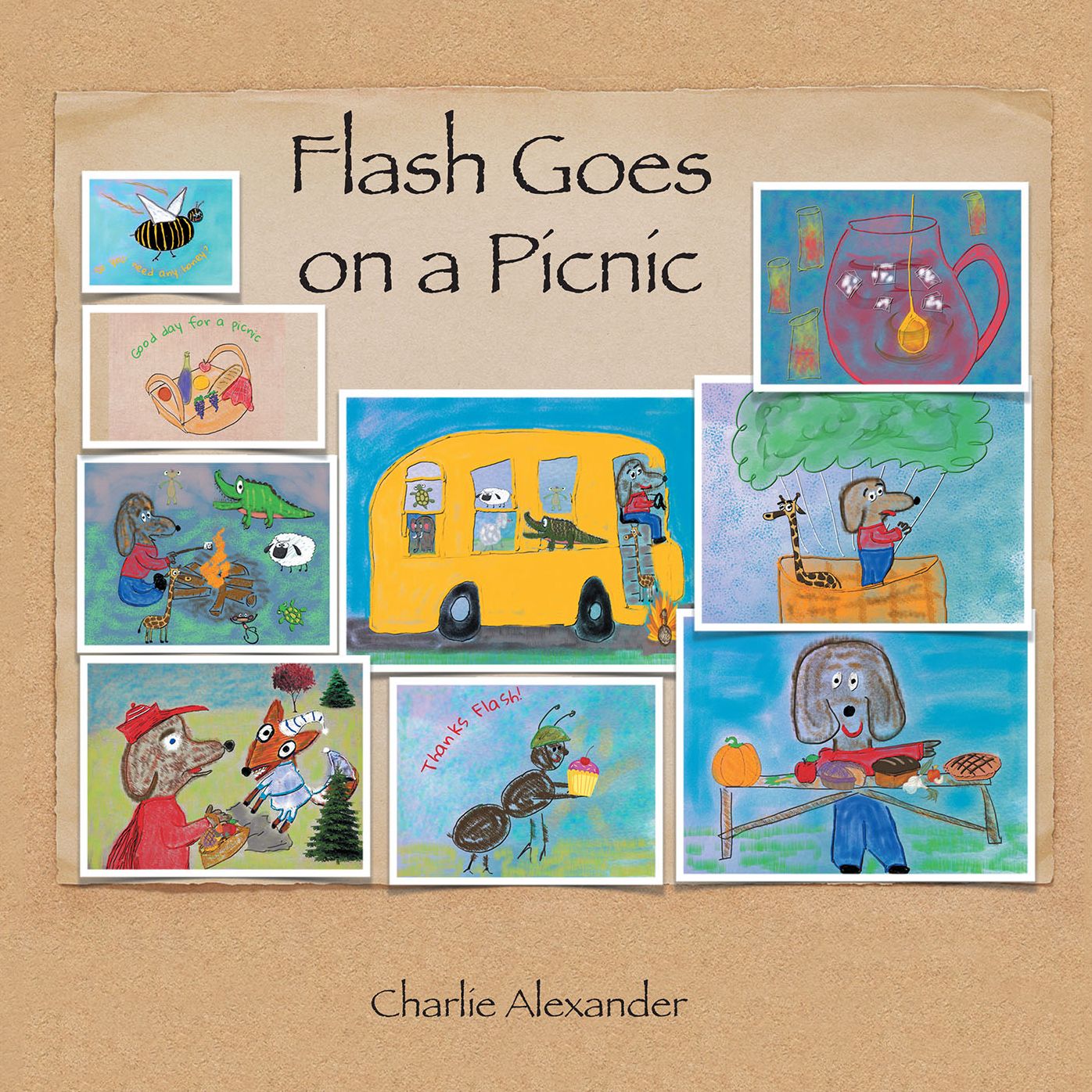 Flash Goes on a Picnic