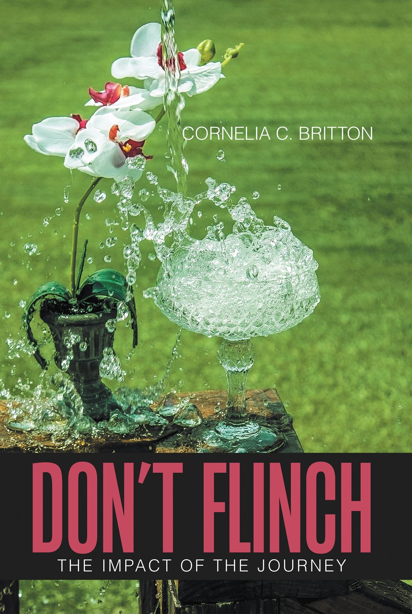 Don'T Flinch: Impact of the Journey