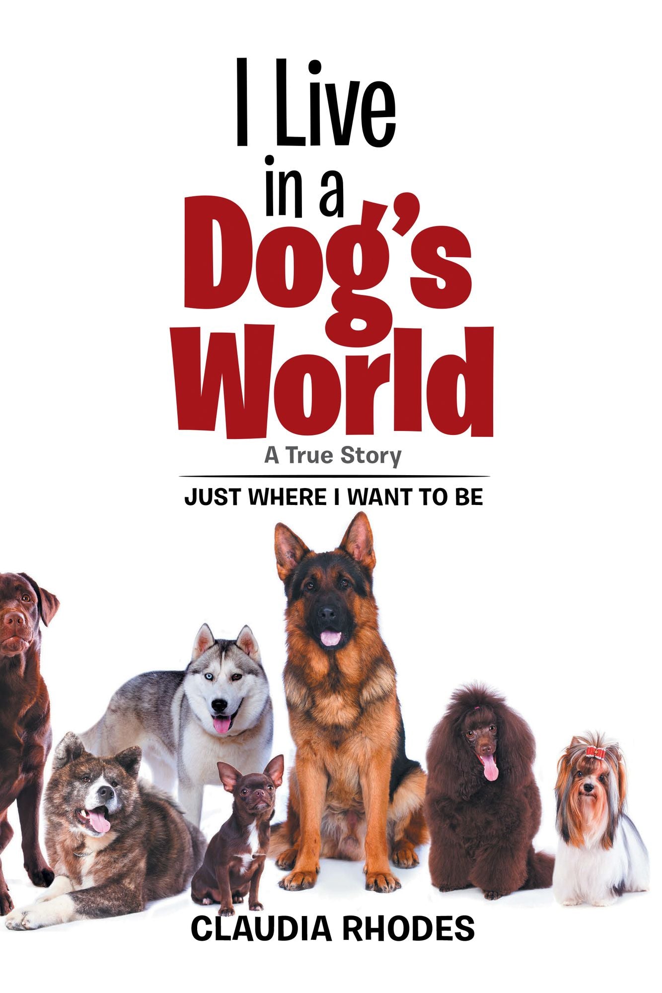 I Live in a Dog's World: A True Story