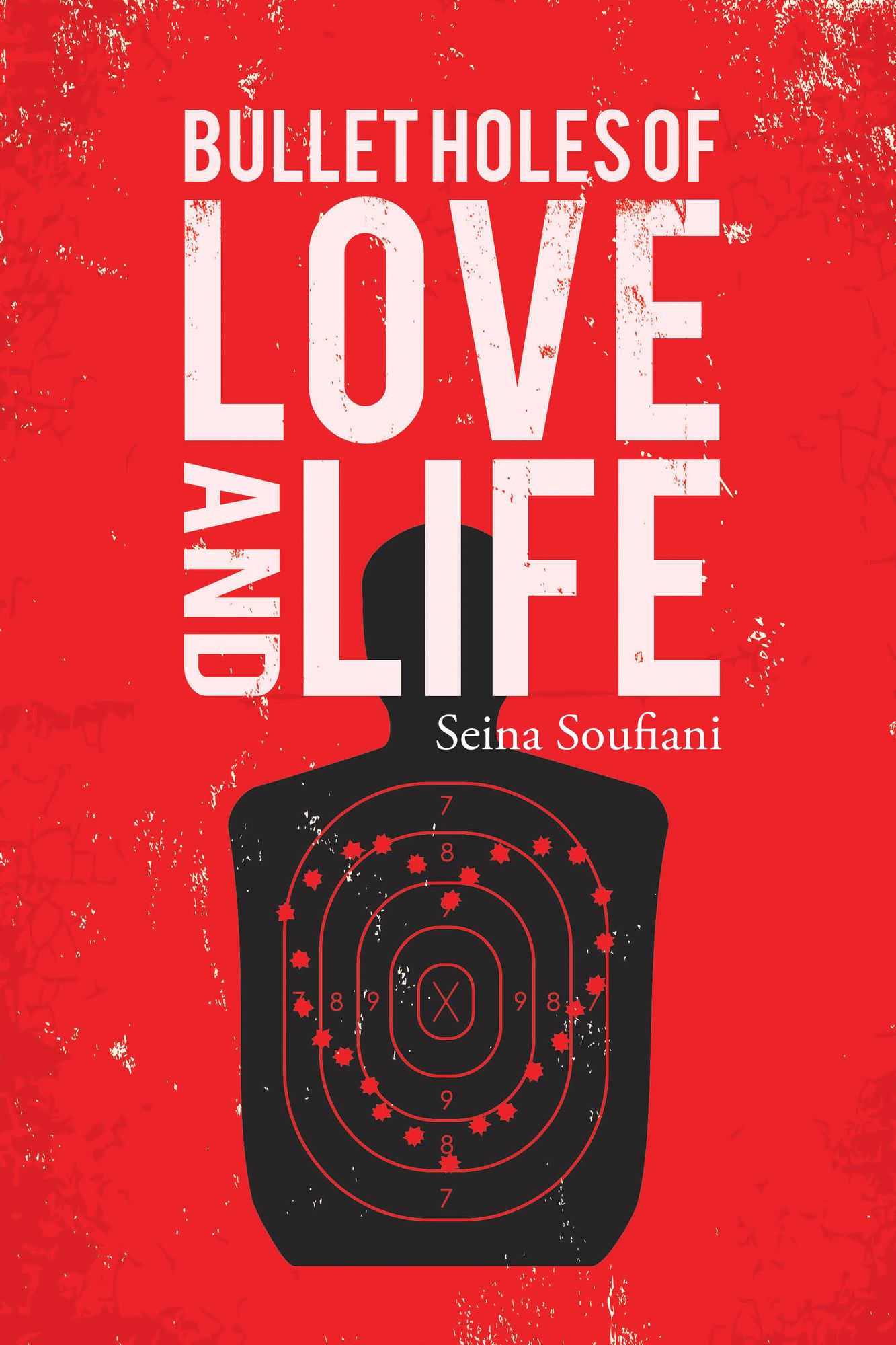 Bullet Holes of Love and Life