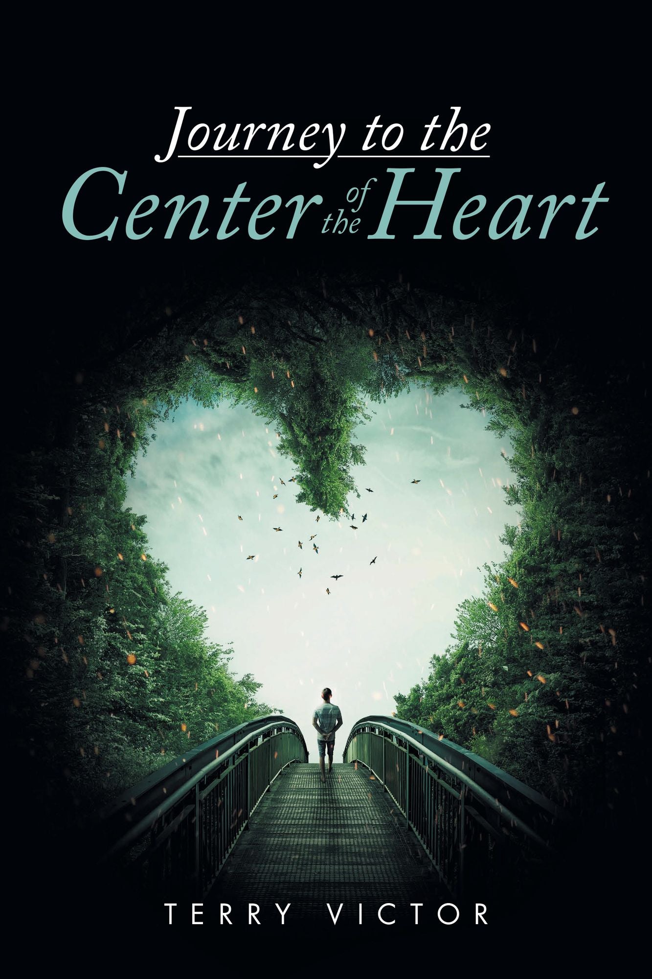 Journey to the Center of the Heart