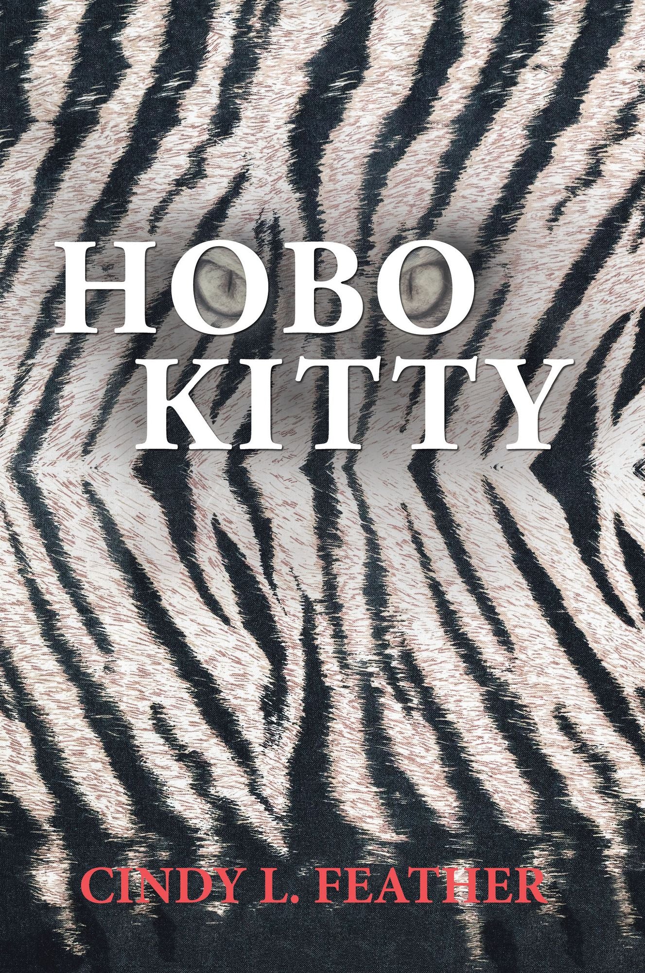 Hobo Kitty