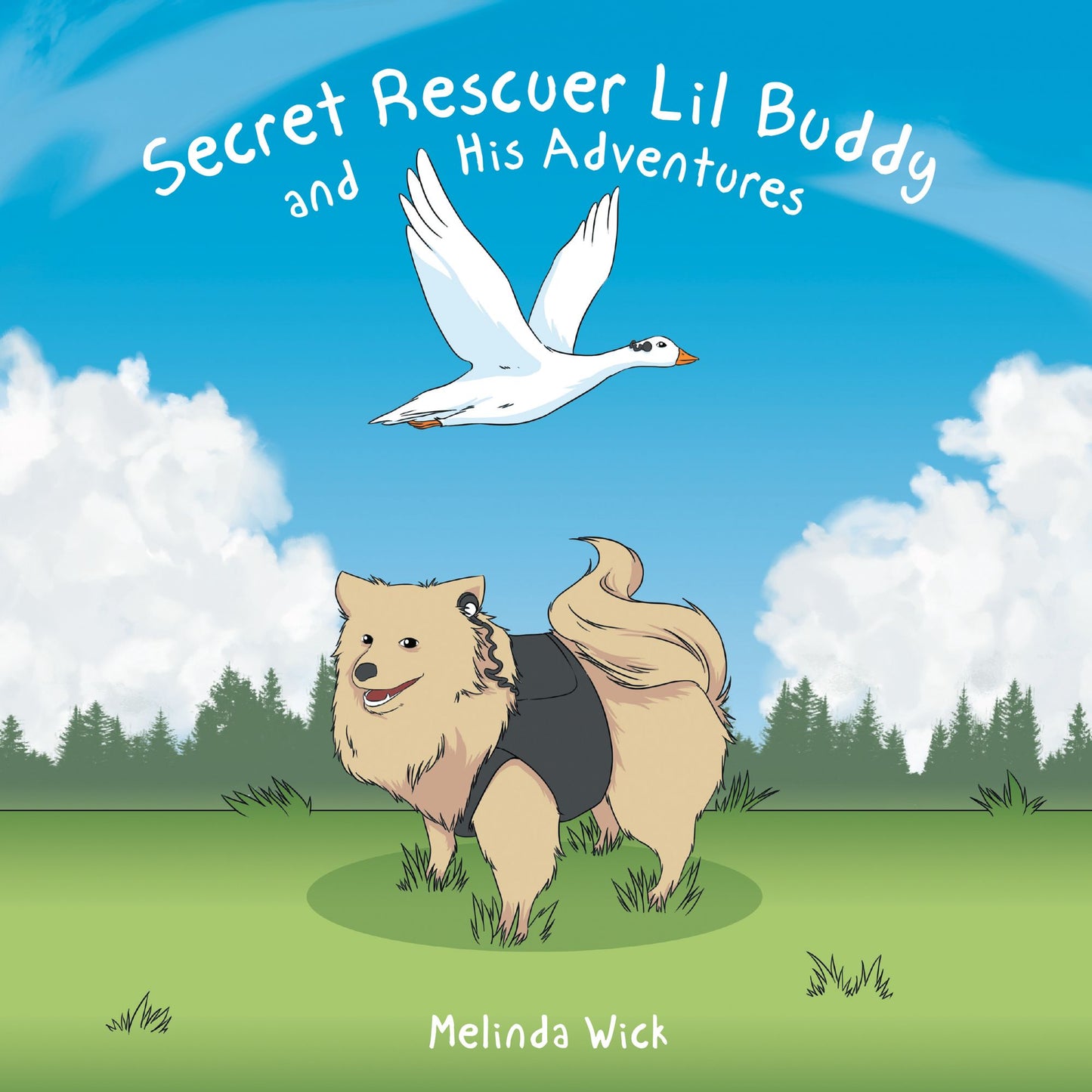 Secret Rescuer Lil Buddy and His Adventures