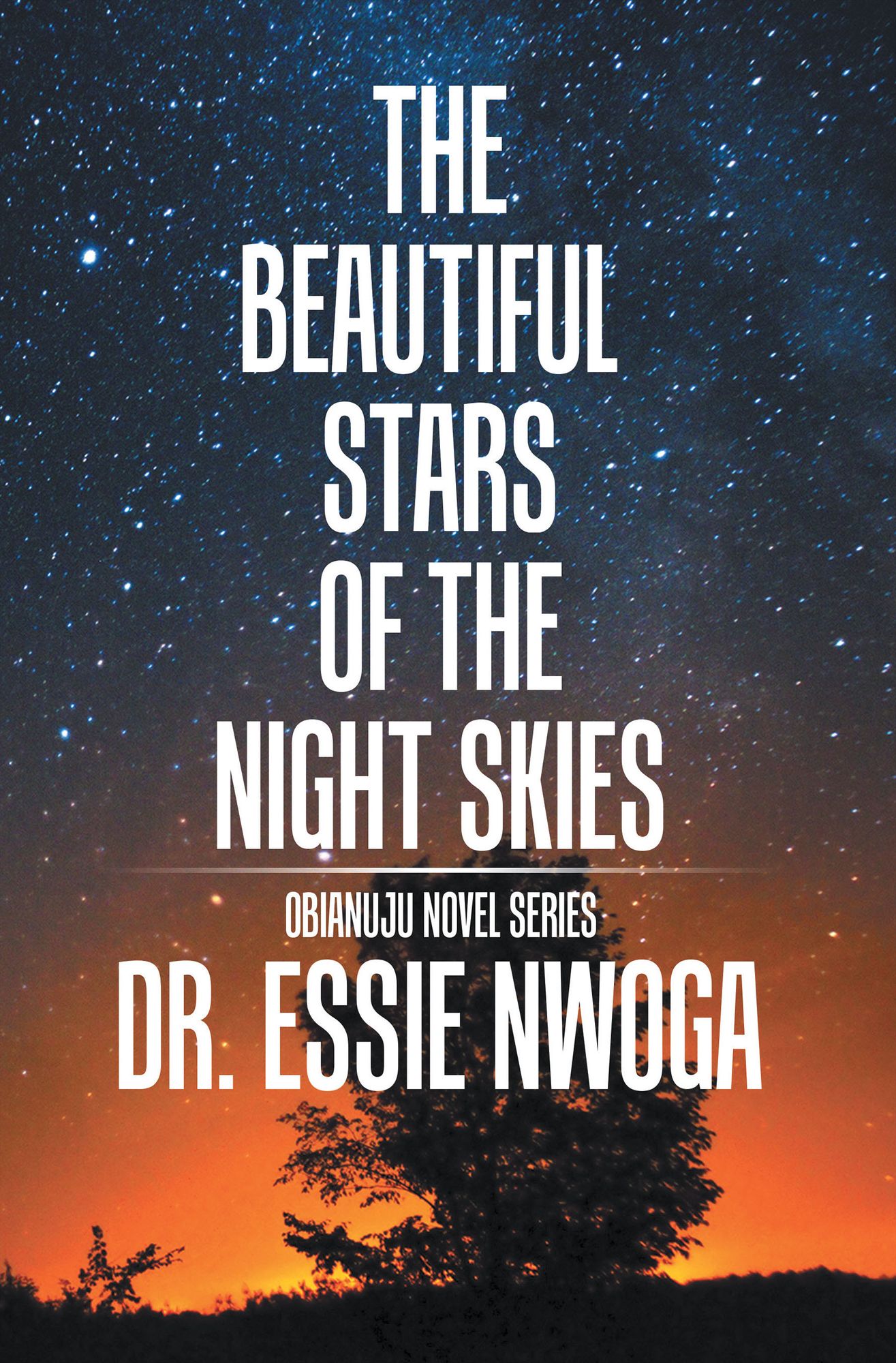 The Beautiful Stars of the Night Skies: A Novel