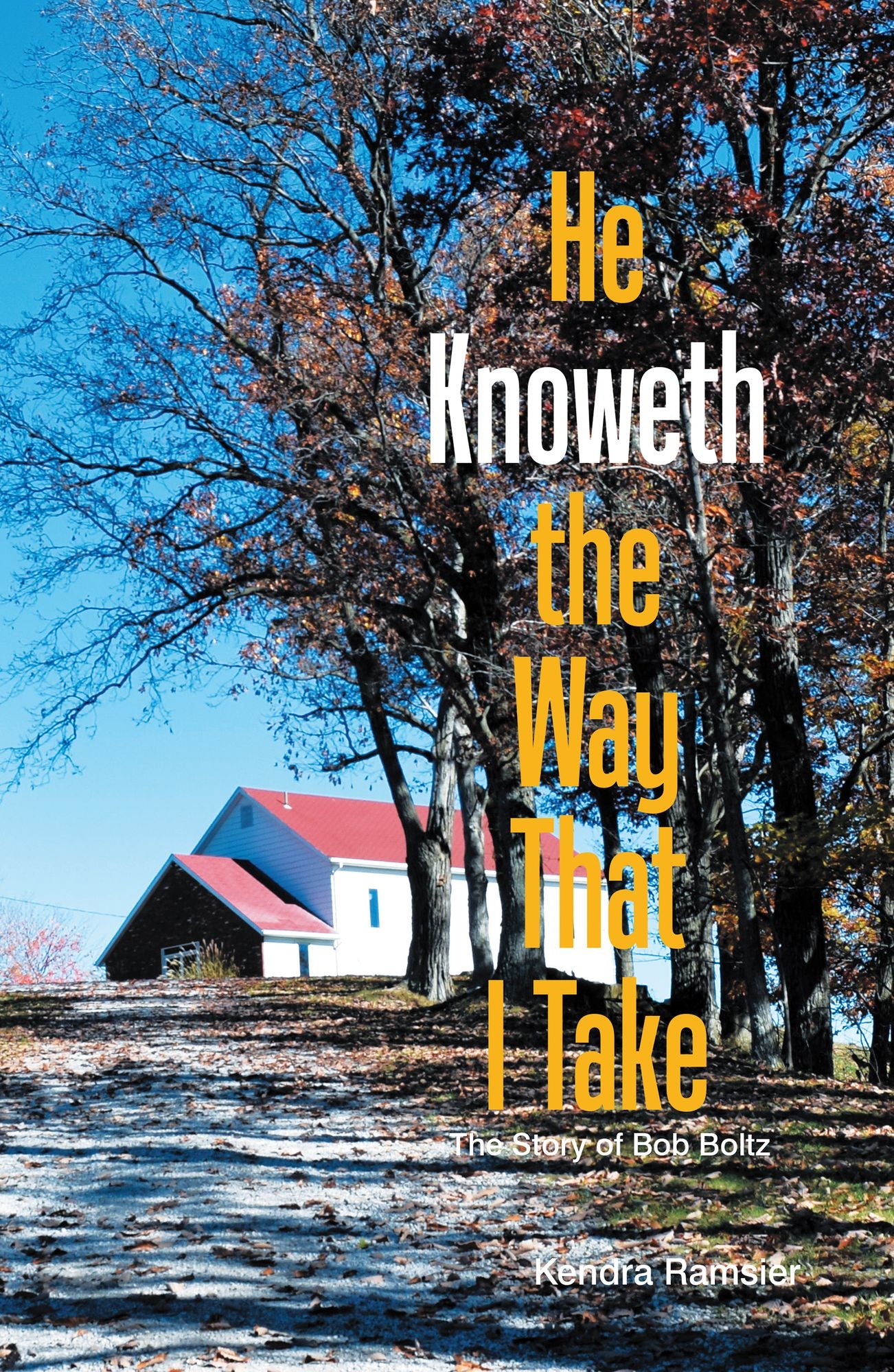 He Knoweth the Way That I Take: The Story of Bob Boltz
