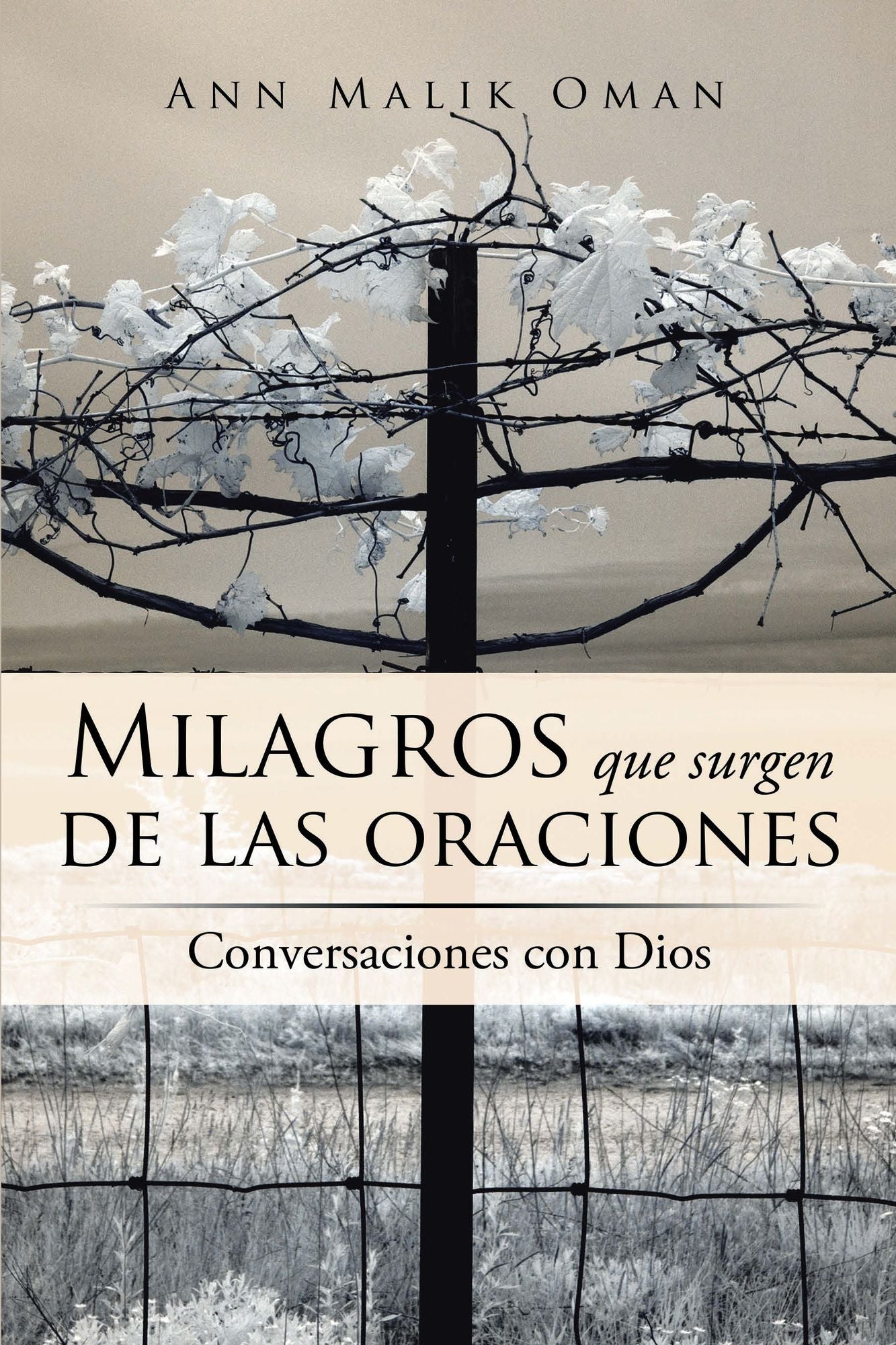 Milagros Que Surgen De Las Oraciones: Conversaciones Con Dios