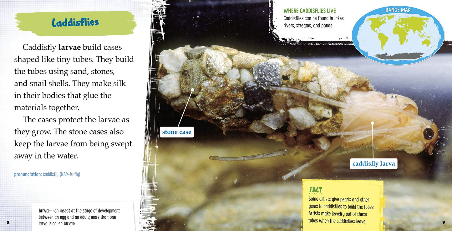 Amazing Animal Architects of the Water: A 4D Book
