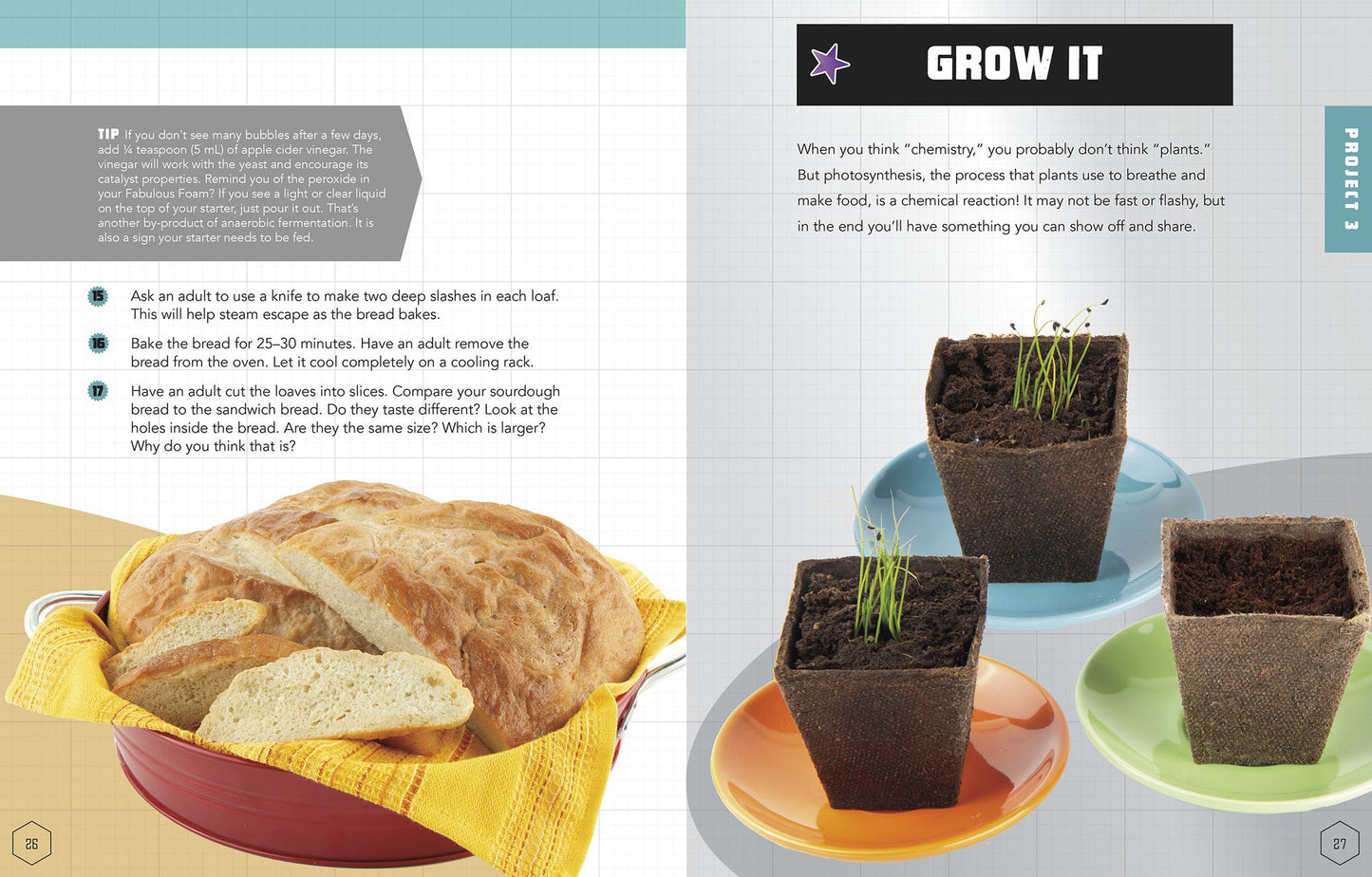 Chemistry Projects to Build on: 4D an Augmented Reading Experience