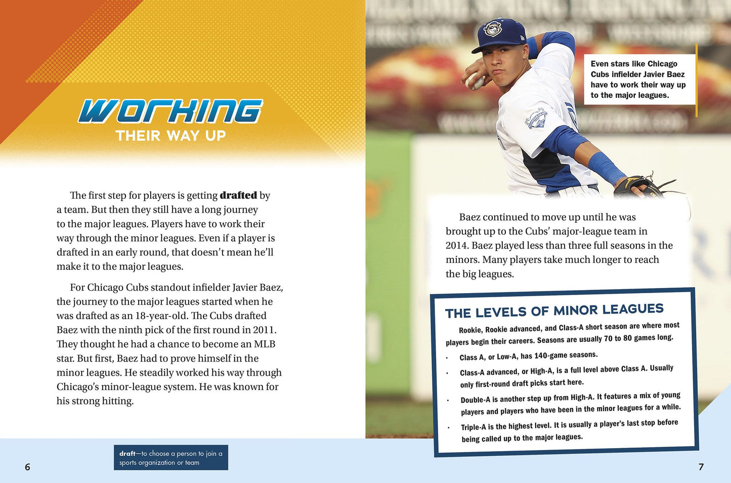Behind the Scenes of Pro Baseball