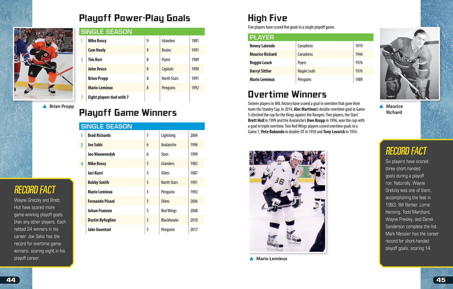 Pro Hockey Records: A Guide for Every Fan