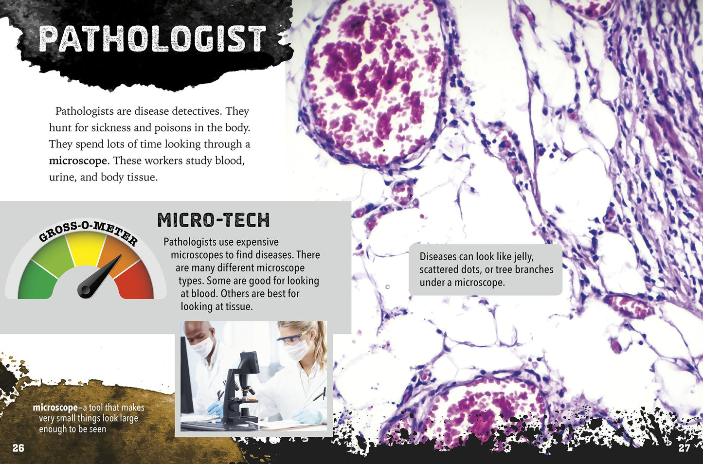 Gross Jobs in Medicine: 4D an Augmented Reading Experience