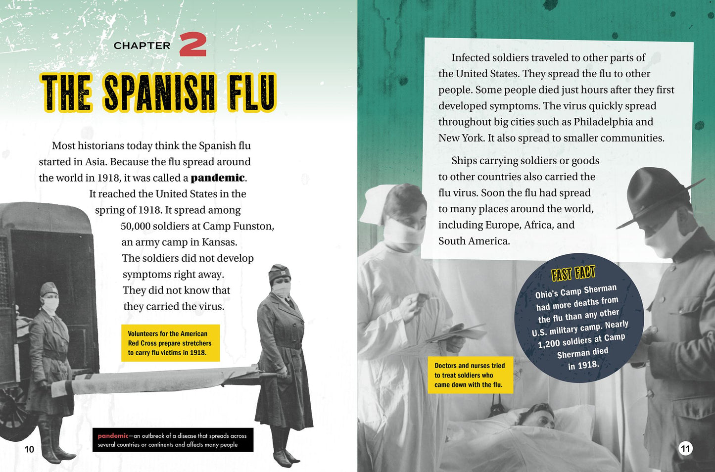 Influenza: How the Flu Changed History