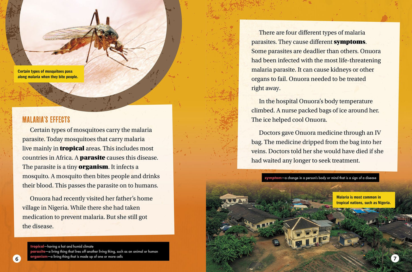 Malaria: How a Parasite Changed History