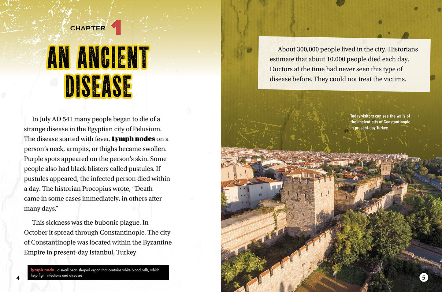 Bubonic Plague: How the Black Death Changed History