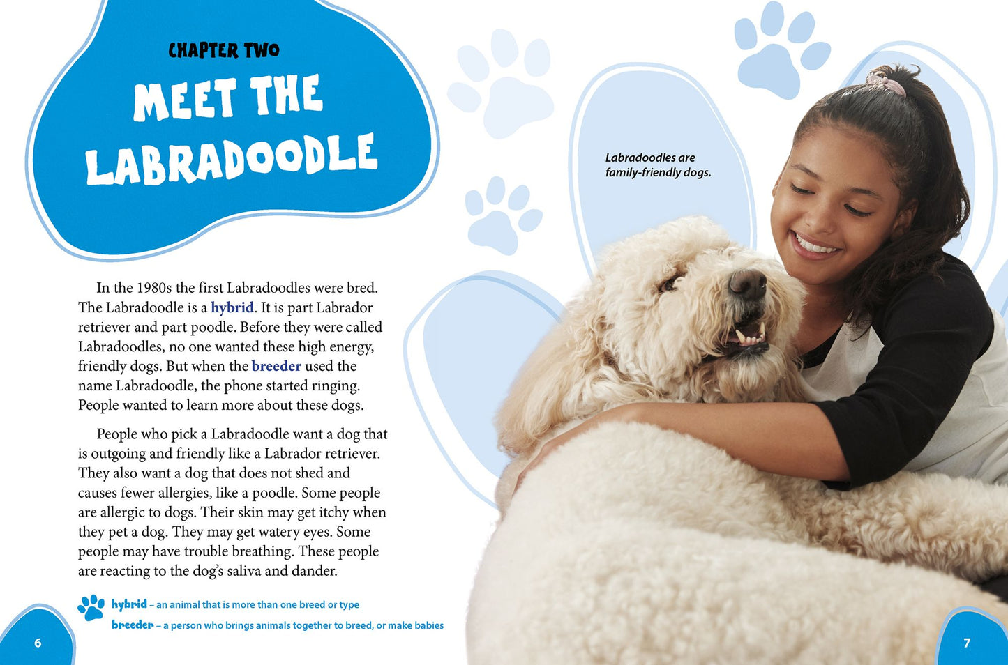 Labradoodle: Labrador Retrievers Meet Poodles!