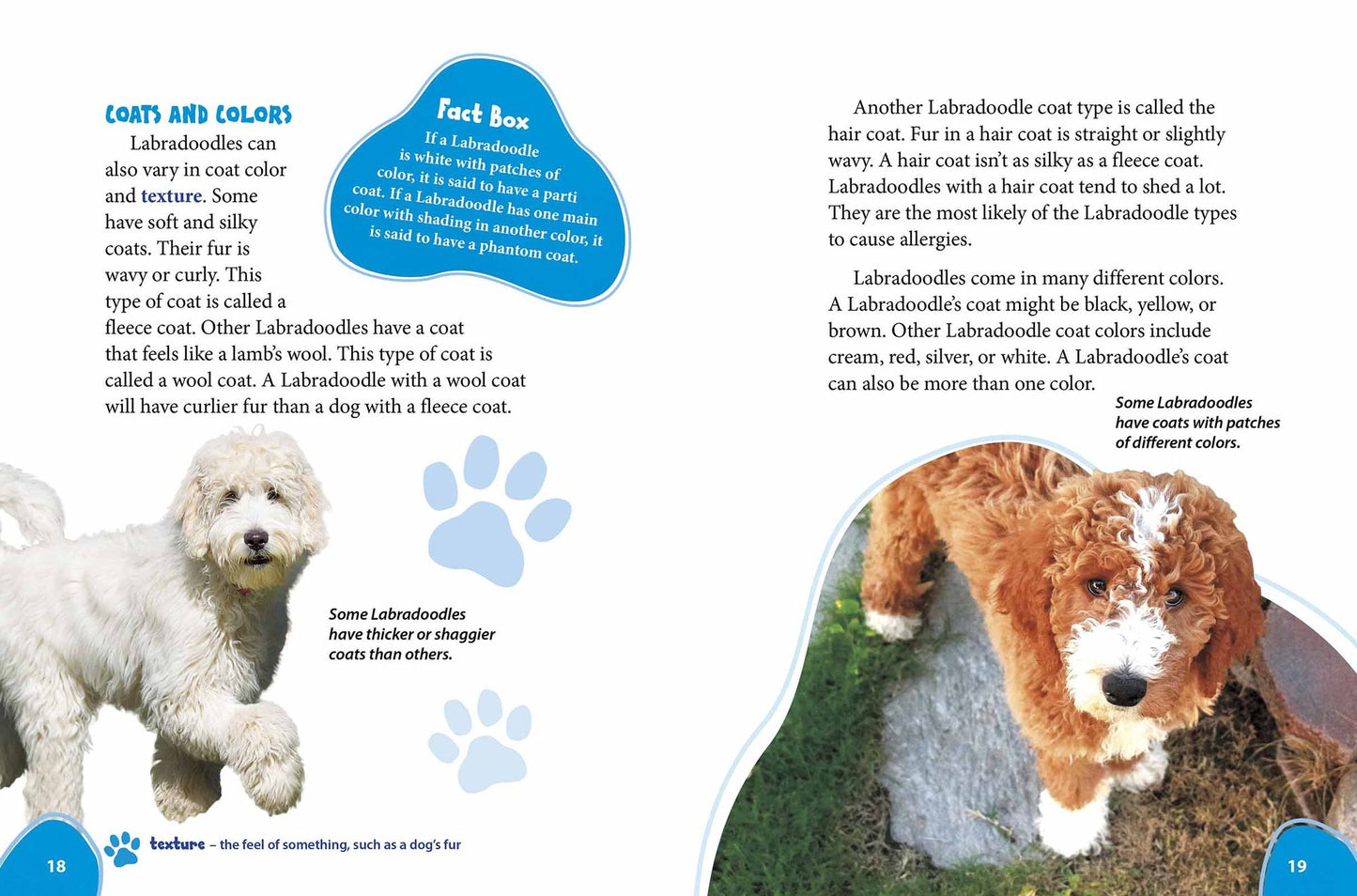 Labradoodle: Labrador Retrievers Meet Poodles!