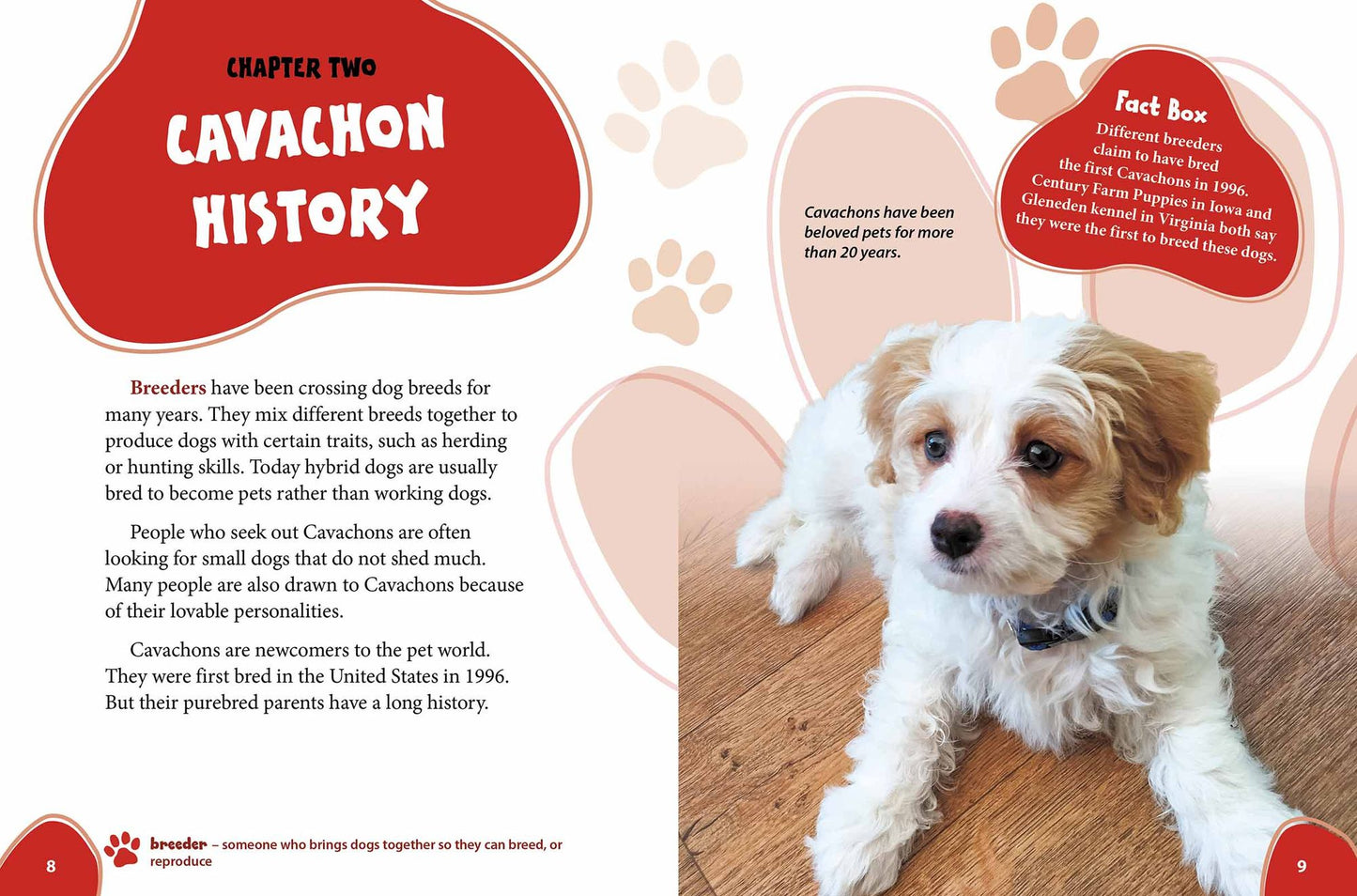Cavachon: Cavalier King Charles Spaniels Meet Bichon Frises!