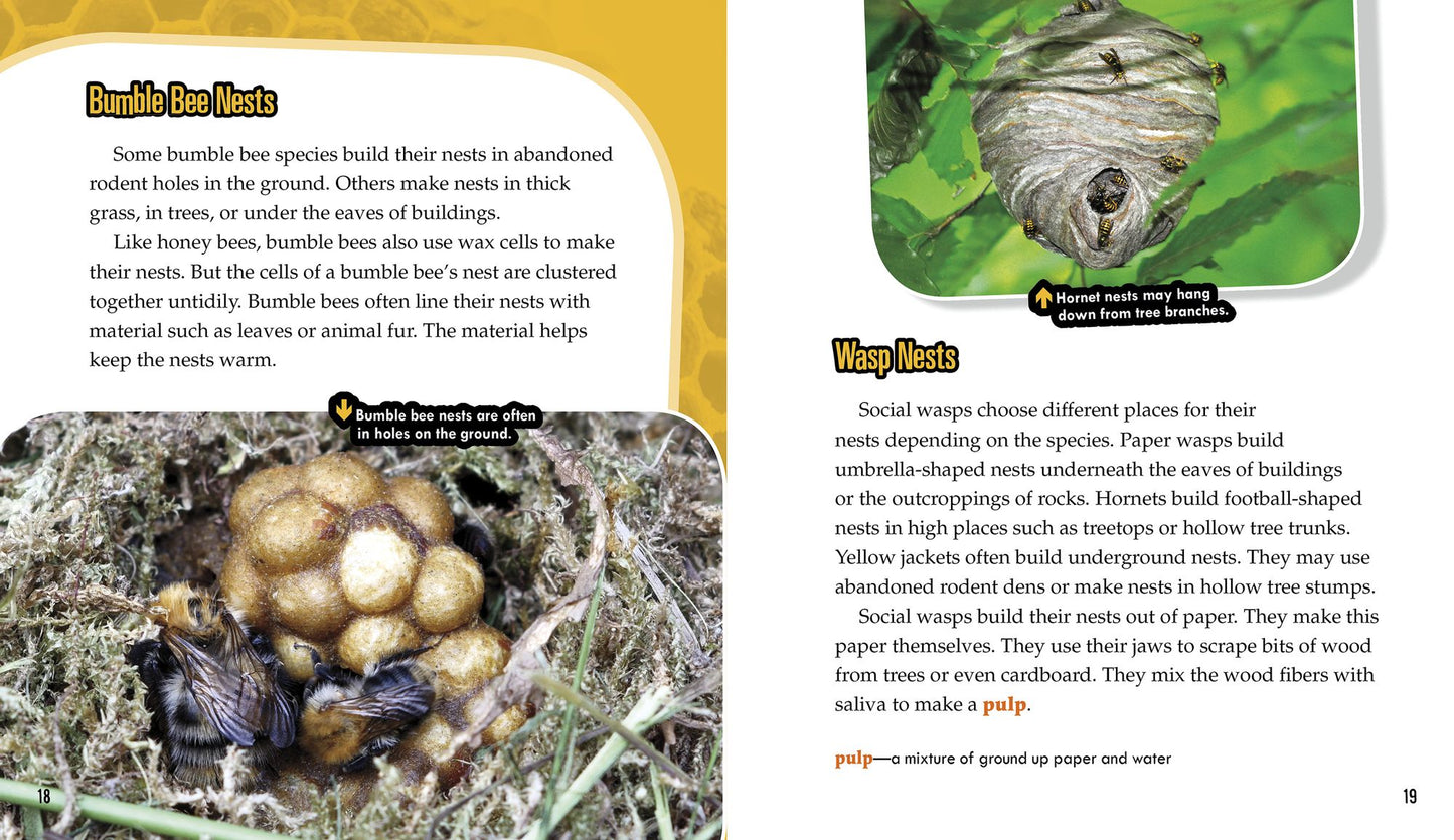 Bees and Wasps: Secrets of Their Busy Colonies