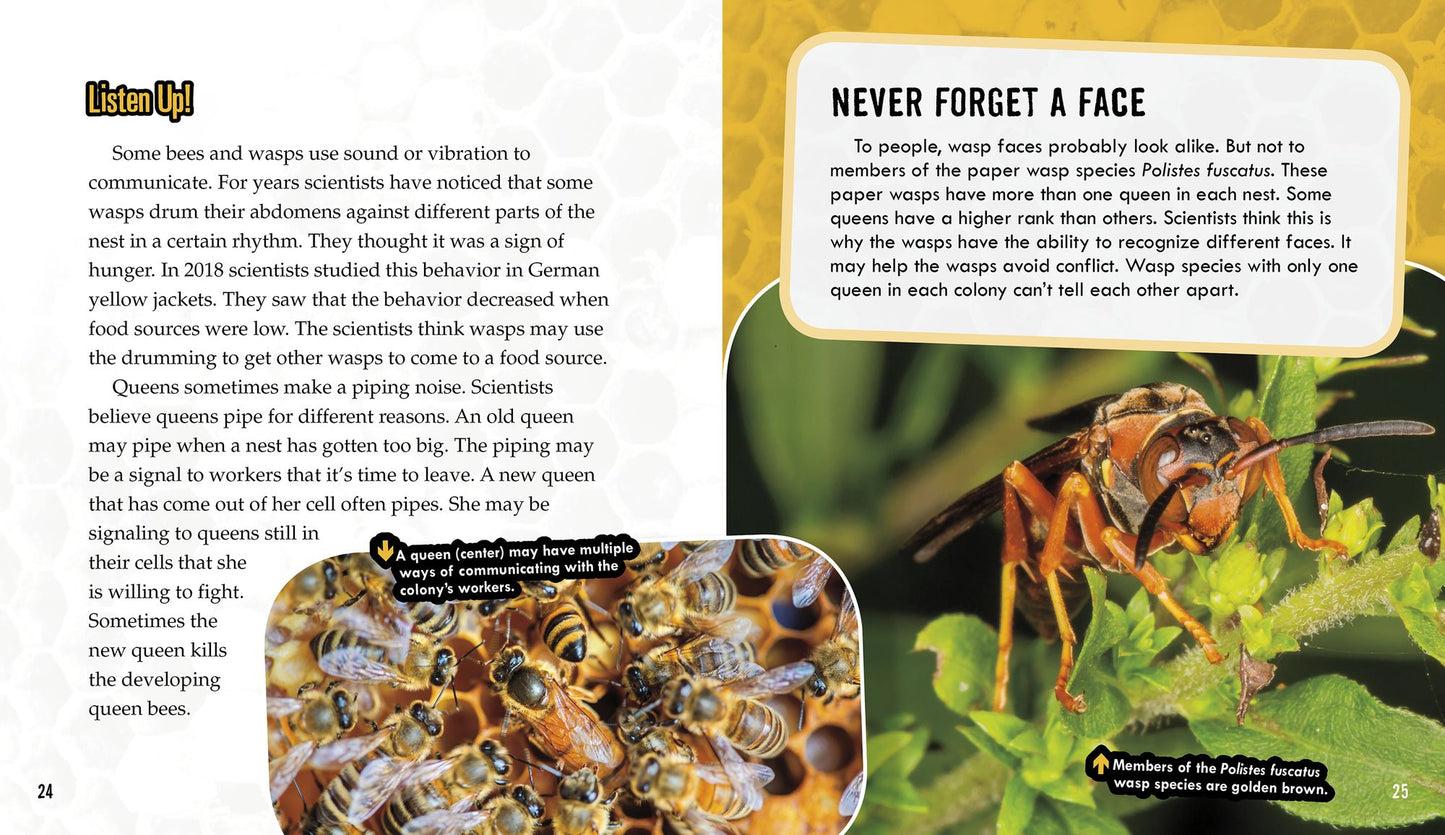 Bees and Wasps: Secrets of Their Busy Colonies