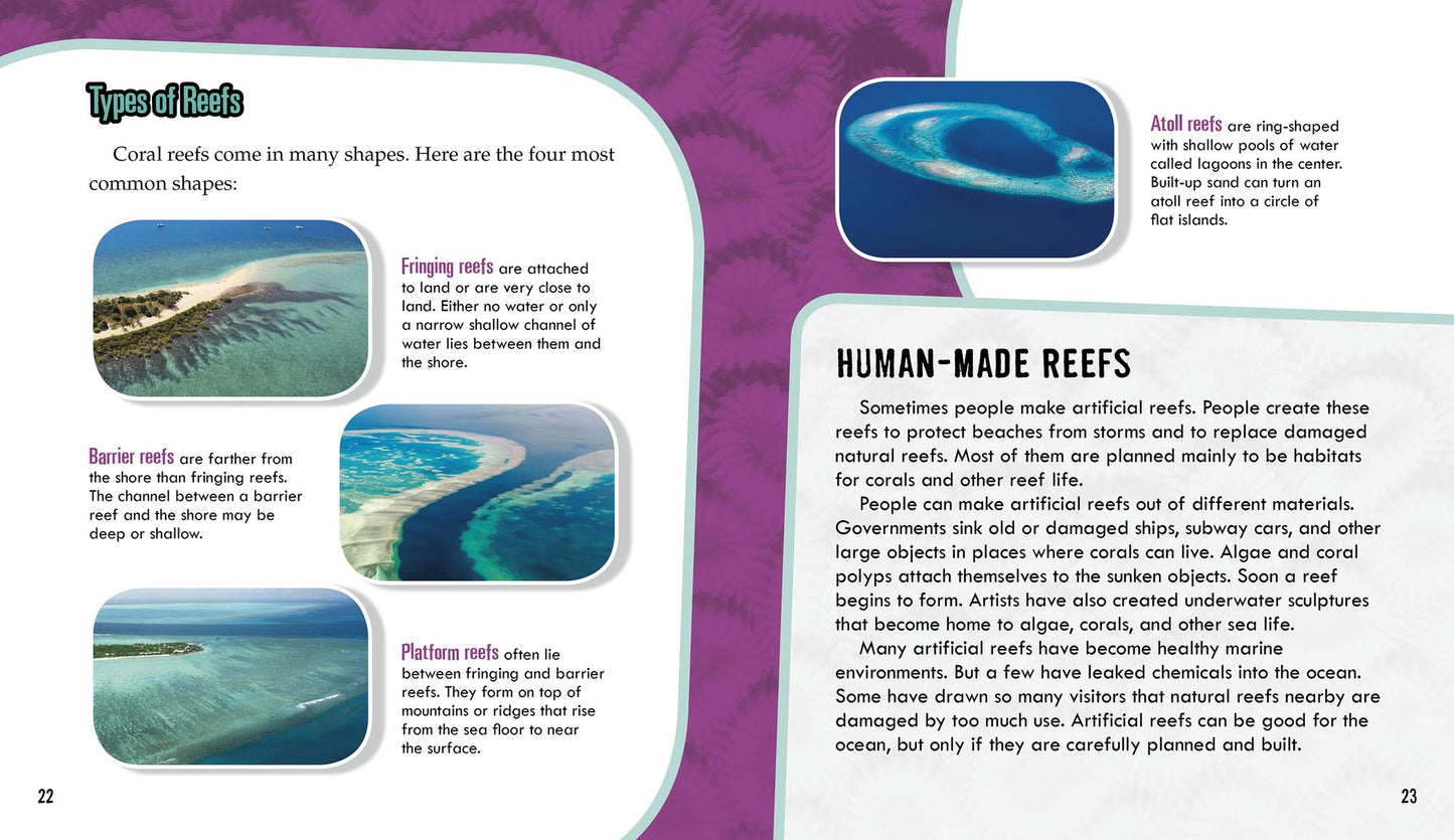 Corals: Secrets of Their Reef-Making Colonies