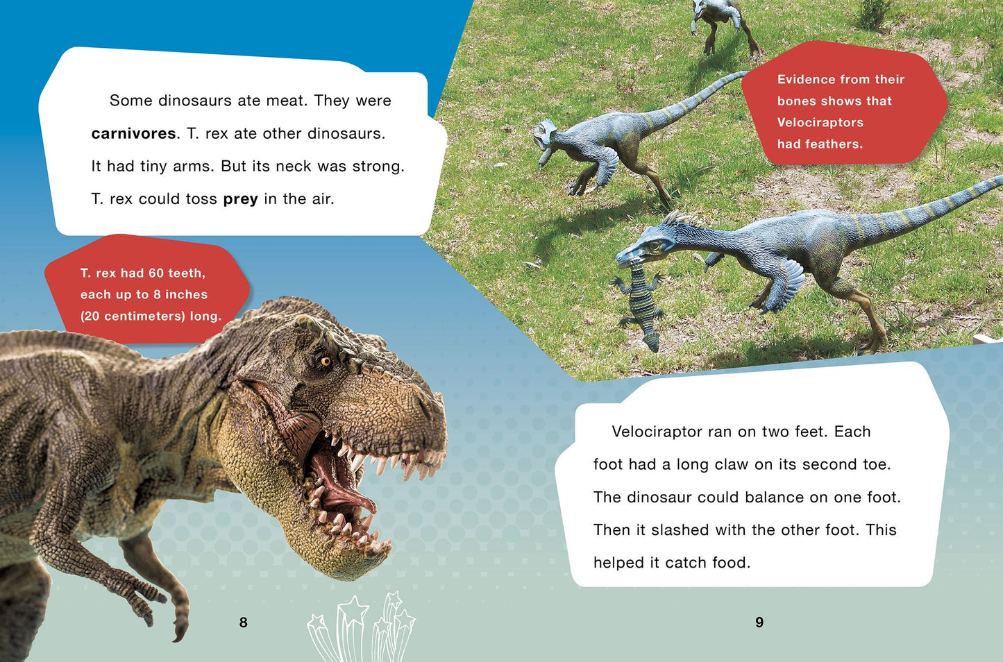 Dinosaurs Are Everywhere and Other Cool Jurassic Facts