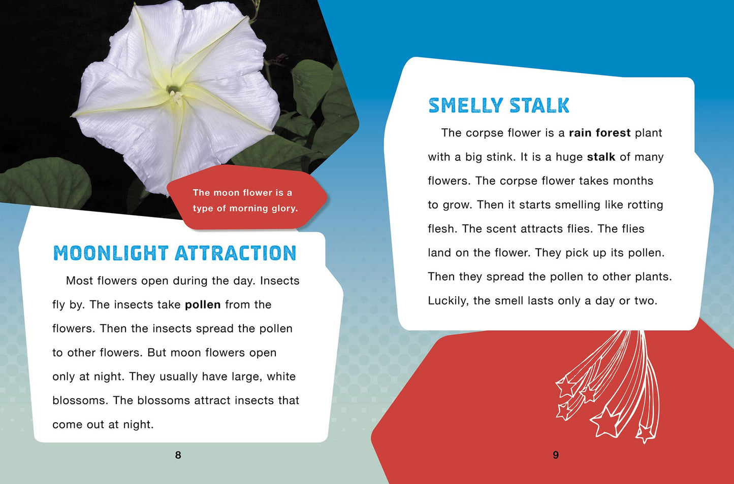 A Plant That Eats Spiders and Other Cool Green-And-Growing Facts