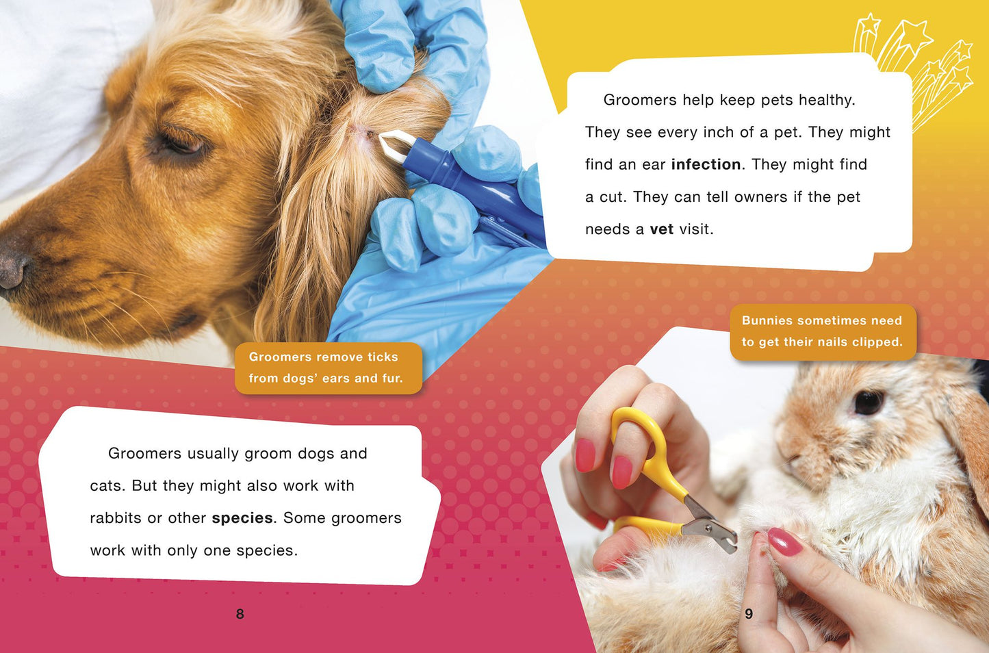 Pet Groomer