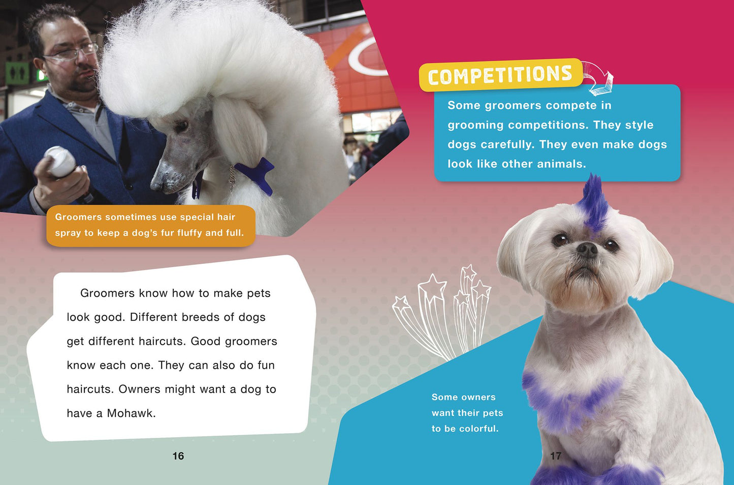 Pet Groomer