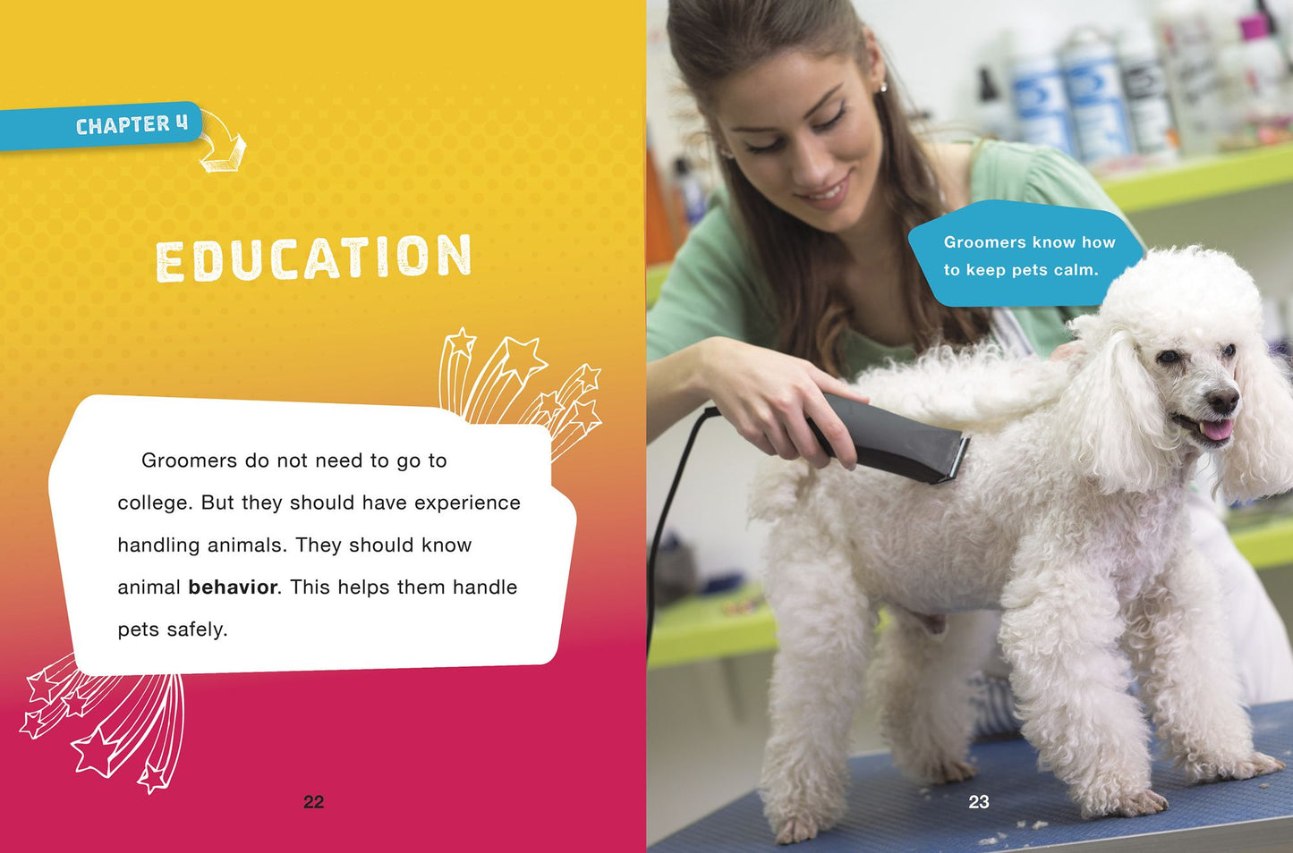 Pet Groomer
