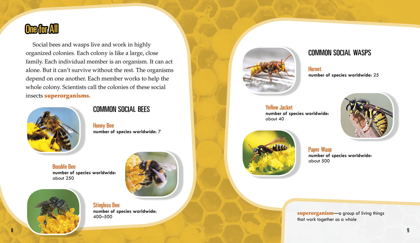 Bees and Wasps: Secrets of Their Busy Colonies
