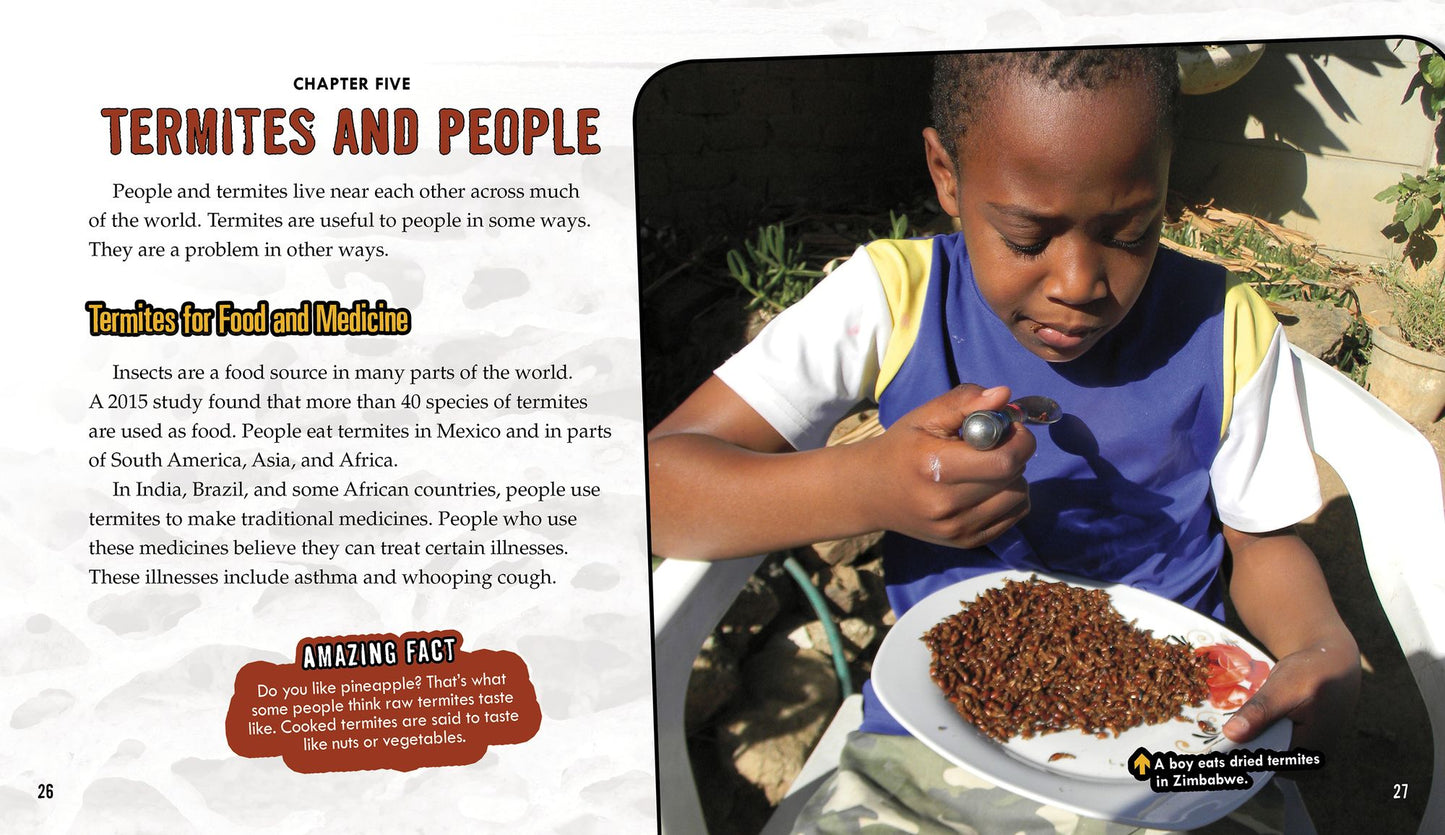 Termites: Secrets of Their Cozy Colonies