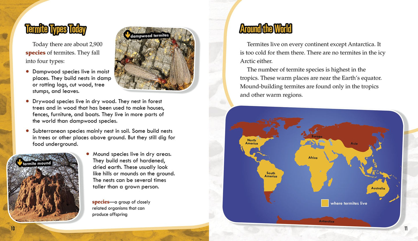 Termites: Secrets of Their Cozy Colonies