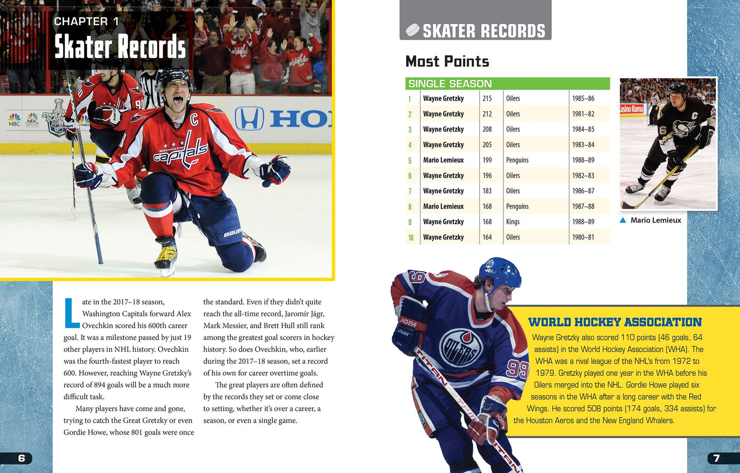 Pro Hockey Records: A Guide for Every Fan