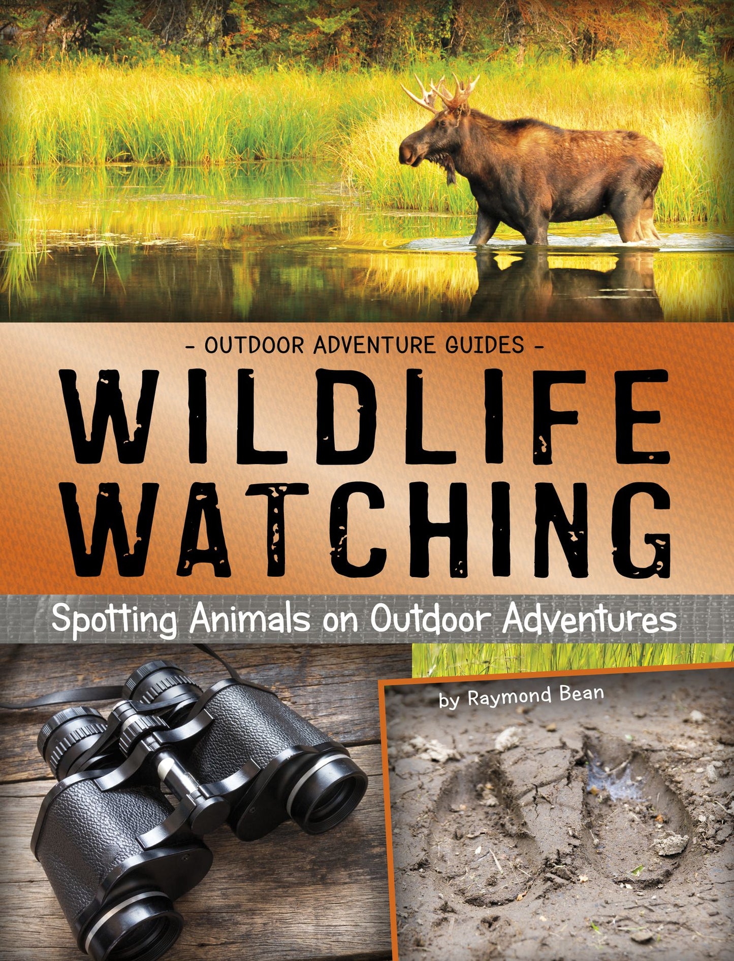 Wildlife Watching : Spotting Animals on Outdoor Adventures