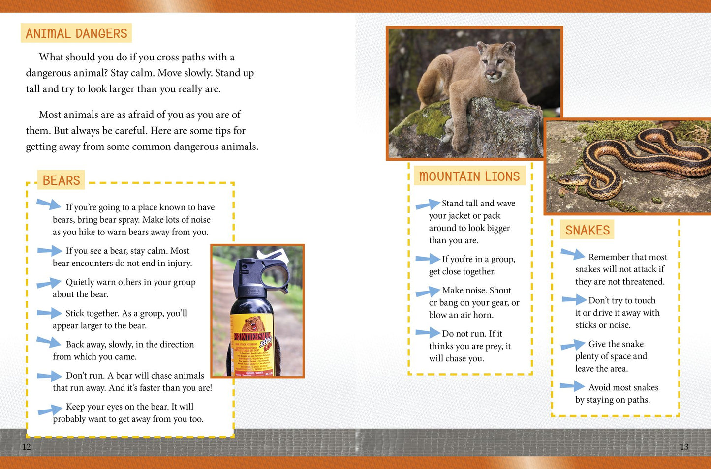 Wildlife Watching : Spotting Animals on Outdoor Adventures