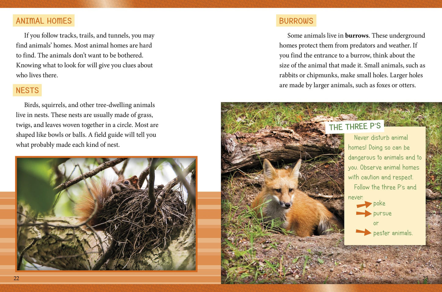 Wildlife Watching : Spotting Animals on Outdoor Adventures