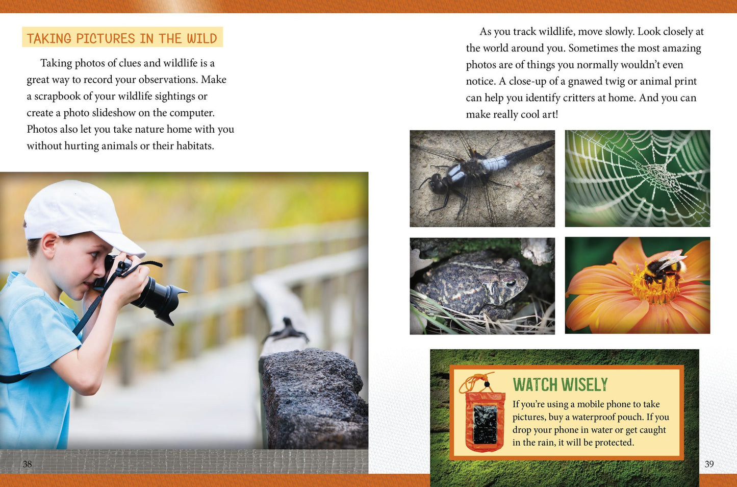 Wildlife Watching : Spotting Animals on Outdoor Adventures