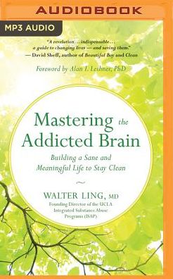 Mastering the Addicted Brain: Building a Sane and Meaningful Life to Stay Clean
