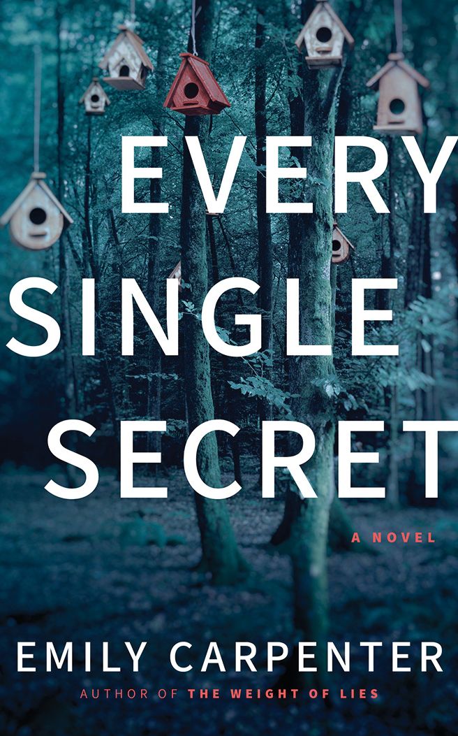 Every Single Secret: A Novel