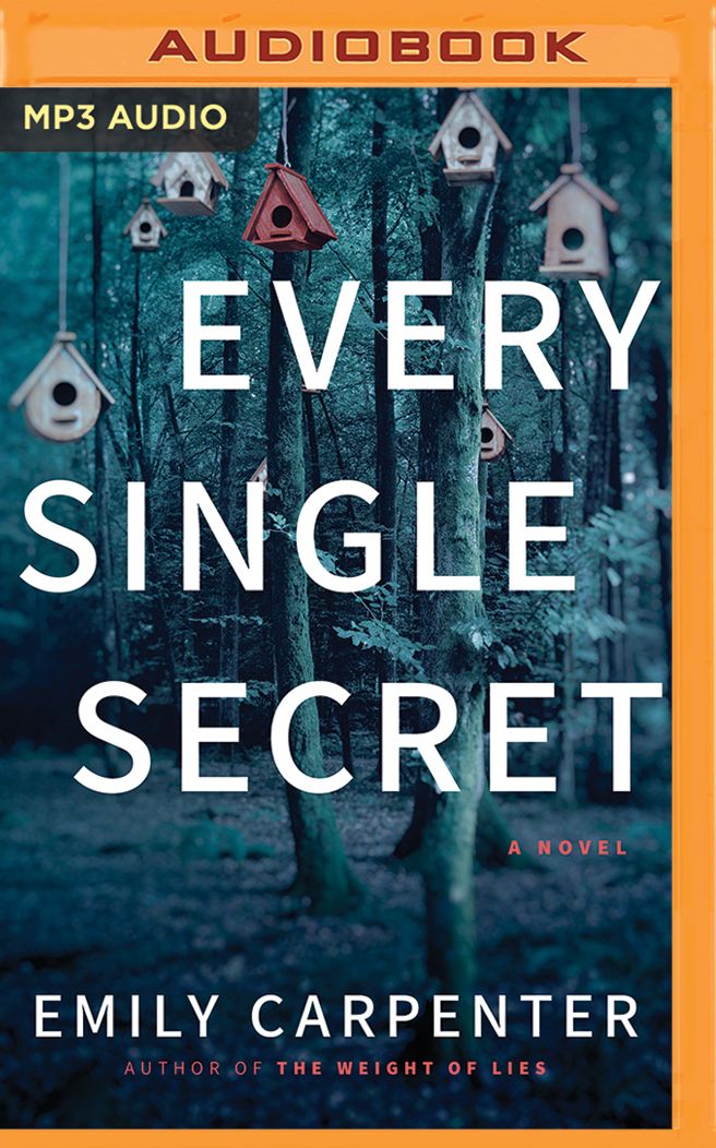 Every Single Secret: A Novel